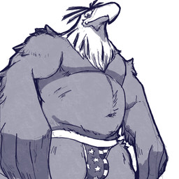 anthro bulge kemono male musclegut muscular overweight overweight_male simple_background solo standing natunokemono accipitrid accipitriform avian bird eagle 1:1 2026 hi_res