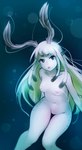 antennae_(anatomy) blue_eyes blush breasts eyelashes featureless_crotch female freckles hair long_hair looking_at_viewer monster_girl_(genre) navel nipples nude open_mouth personification solo thigh_gap tongue white_body white_hair white_skin ricegnat animal_humanoid gastropod humanoid mollusk absurd_res digital_media_(artwork) hi_res