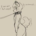 anthro blush collar curled_tail exhibitionism looking_at_viewer male nude solo tail text alrecsolus canid canine mammal 1:1 hi_res