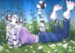 anthro blue_sky bottomwear butt cigarette claws clothed clothing cloud day denim denim_bottomwear denim_clothing detailed_background female field fingers fur grass hair jeans light looking_at_viewer open_mouth outside pants pawpads paws plant shirt simple_background sky smile smoke smoking solo striped_body stripes sunlight t-shirt topwear tree white_body white_fur awakeningwind sigara felid mammal pantherine tiger digital_media_(artwork)