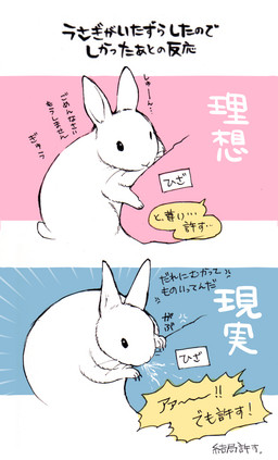 duo feral simple_background text ichthy0stega lagomorph leporid mammal rabbit 2015 japanese_text translation_request