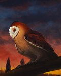 4:5 absurd_res avian barn_owl bird brown_body brown_feathers feathers feral guardians_of_ga'hoole hi_res kludd male owl plant senecar0cks solo sunset tree tyto tytonid white_body white_feathers