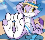 3_toes anthro barefoot feet female foot_focus fur paws purple_body purple_fur soles solo tail toes mintytempest sega sonic_the_hedgehog_(series) blaze_the_cat domestic_cat felid feline felis mammal absurd_res hi_res