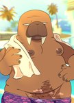 anthro belly big_belly bottomwear clothing genitals humanoid_hands male moobs musk nipples overweight overweight_male penis shorts solo swimwear towel towel_around_neck salamikii odd_taxi hiroshi_odokawa_(odd_taxi) mammal marine pinniped walrus 2023 hi_res