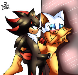 against_surface against_wall anthro bedroom_eyes big_breasts blush bodily_fluids breasts duo female genital_fluids genitals looking_at_another looking_at_partner looking_pleasured male narrowed_eyes navel nipples penetration precum seductive vaginal vaginal_penetration vulva xxflamecoreshellxx sega sonic_the_hedgehog_(series) rouge_the_bat shadow_the_hedgehog bat eulipotyphlan hedgehog mammal hi_res