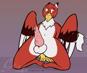anthro blush bodily_fluids dripping embarrassed genital_fluids genitals knot looking_away male penile_spines penis precum precum_drip solo throbbing throbbing_penis sombird mythology avian gryphon mythological_avian mythological_creature animated hi_res