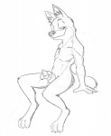 anthro erection genitals knot male masturbation nude penile penile_masturbation penis simple_background solo tail white_background shenanigans canid canine mammal 2010 monochrome sketch