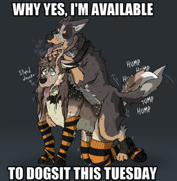 all_fours anal anal_penetration anthro anthro_on_feral anthro_penetrated antlers arm_warmers armwear bestiality bite_mark bodily_fluids breath claws clothing collar dog_tags drooling drooling_on_partner duo entwined_tails erection feral feral_penetrating feral_penetrating_anthro footwear from_behind_position genitals hair horn humping interspecies legwear long_hair male male/male male_penetrated male_penetrating male_penetrating_male mounting obscured_penetration open_mouth panting pawpads paws penetration penile penile_penetration penis pubes saliva saliva_string scratch_mark scratches sex socks stockings tail tail_coil teasing_partner teeth text thigh_highs tongue_up whiskers ricthecusco brazilian_dawg_(ricthecusco) brokenpaw australian_cattle_dog canid canine canis cattledog cryptid deer domestic_dog herding_dog mammal pastoral_dog english_text hi_res image_macro meme