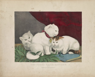 ambiguous_feral ambiguous_gender book cross detailed_background digitigrade feral fur group jewelry kerchief leaf licking licking_another lying on_side paws pendant personal_grooming quadruped sitting social_grooming standing tail text tongue tongue_out trio whiskers white_body white_fur yellow_sclera otto_stark currier_and_ives public_domain domestic_cat felid feline felis mammal 19th_century absurd_res ancient_art english_text hi_res huge_filesize lithograph_(artwork) traditional_media_(artwork)