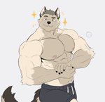 abs anthro bottomwear clothing fur grey_hair hair looking_at_viewer male multicolored_body multicolored_fur muscular muscular_anthro muscular_male nipples pecs pose shorts simple_background smile solo white_background ixkouu canid canine canis mammal wolf 2020 hi_res