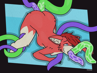 abdominal_bulge all_the_way_through anal anal_penetration anal_threading anthro anus black_nose blue_eyes breasts butt cheek_bulge claws double_anal double_oral double_penetration ears_down female fur green_tentacles hair multicolored_body multicolored_tentacles multiple_penetration nipples oral oral_penetration penetration pivoted_ears purple_tentacles red_body red_fur red_hair slime small_breasts solo tailless tentacle_penetration tentacles threaded_by_tentacle datamosh_01 lexa_(datamosh_01) canid canine fox mammal 4:3 absurd_res dated hi_res watermark