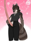 anthro big_penis bottomwear bottomwear_down boxers_(clothing) boxers_down brown_body brown_eyes brown_fur brown_hair clothed clothing erection fur genitals hair huge_penis humor hyper hyper_genitalia hyper_penis long_penis male markings pants pants_down partially_clothed penis presenting shirt silly solo striped_body striped_fur striped_markings stripes topwear underwear bittervow vtuber fyr_dunacht mammal procyonid raccoon meme