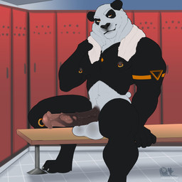 animal_genitalia animal_penis anthro balls bench big_penis biped equine_genitalia equine_penis erection genital_piercing genitals inside locker_room looking_at_viewer male mismatched_animal_penis mismatched_genitalia mismatched_penis muscular muscular_anthro muscular_male nipple_piercing nipples on_bench penis penis_piercing piercing prince_albert_piercing sitting solo straddling towel bambii_dog pandapower897 bear giant_panda mammal 1:1 2019 absurd_res digital_drawing_(artwork) digital_media_(artwork) hi_res