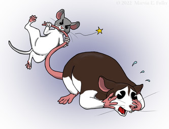 ambiguous_gender bite biting_another black_eyes bodily_fluids brown_body buckteeth duo feral flying_sweatdrops fur grey_body open_mouth scared star_symbol sweat sweatdrop teeth whiskers white_body white_fur cybercorn_entropic cricetid grasshopper_mouse mammal murid murine rat rodent 2022