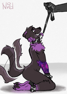 ambiguous_gender anthro biped black_body black_collar black_fur black_nose black_pawpads collar cosmic_fur cuff_(restraint) cuffed_ankles duo fur gloves_(marking) humanoid_hands kneeling leash leashed_collar leg_markings looking_up_at_partner male male/ambiguous male_anthro male_focus markings offscreen_dominant open_mouth pawpads purple_body purple_eyes purple_fur purple_tongue restraints side_view simple_background sitting socks_(marking) solo_focus tail tail_motion tailwag tongue tongue_out wearing_collar white_background nordicecream mammal mustelid 2026 digital_drawing_(artwork) digital_media_(artwork) english_description hi_res