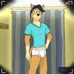 1:1 anthro black_hair blue_clothing blue_shirt blue_topwear briefs bulge clothing coat_hook eyewear felid feline fitting_room front_view fuze glasses hair hi_res inside looking_at_viewer lynx male mammal one_way_mirror recording shirt solo standing t-shirt tighty_whities topwear underwear v-neck_shirt vignette white_briefs white_clothing white_underwear