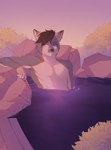 absurd_res anthro canid canine chlorinovi fox grey_fox hi_res hot_spring male mammal onsen solo unknown_character urocyon water