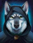 anthro black_body black_fur black_nose collar fur furgonomics green_eyes grey_body grey_fur hood inner_ear_fluff jewelry looking_at_viewer male pendant simple_background smile solo tuft white_body white_fur goldendruid canid canine canis mammal wolf 2018