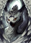 beak feathered_wings feathers feral grey_body grey_feathers looking_at_viewer male open_mouth orange_eyes solo wings quirachen mythology gibbs_(onom) avian bird gryphon horned_owl mythological_avian mythological_creature owl snowy_owl true_owl 2013 portrait