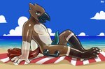 anthro beach feet genitals handle handles_on_hips inflatable male nude penis pool_toy sea solo talons toes towel translucent water hacony blitz_(its_blitz) accipitrid accipitriform animate_inanimate avian bird buteo chickenhawk living_inflatable red-tailed_hawk hi_res