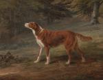 1797 18th_century absurd_res ambiguous_gender ancient_art bird_dog brown_body brown_fur canid canine canis detailed_background domestic_dog feral formal_art full-length_portrait fur george_garrard hi_res hunting_dog irish_setter mammal nature outside painting_(artwork) plant portrait quadruped raised_tail setter solo tail traditional_media_(artwork) tree white_body white_fur
