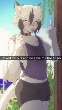 anthro biped blush bodily_fluids bottomwear bulge clothed clothing collar dipstick_ears ear_markings fur gesture hair hand_gesture male middle_finger multicolored_ears one_eye_closed purple_eyes shorts solo spandex spandex_shorts sweat tail text tight_bottomwear tight_clothing tight_shorts tongue tongue_out white_body white_fur white_hair munkeesgomu ereki_kagami domestic_cat felid feline felis mammal 9:16 english_text hi_res