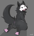 anthro anus balls black_body black_fur butt fur genitals looking_at_viewer looking_back male mask pawpads raised_tail simple_background solo tail kitorie changed_(video_game) puro_(changed) canid canine canis dark_latex mammal hi_res