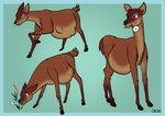 alert annoyed belly breath female feral flower grass heavy kick panting plant pregnant pregnant_female scut_tail shocked short_tail solo tail xenopony456 bambi_(film) disney bambi's_mother deer mammal mule_deer new_world_deer absurd_res hi_res