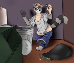 black_body black_fur claws clothing dumpster fur grey_body grey_fur growth jewelry male markings mid_transformation necklace outside oversized_clothing paws ring_(marking) ringed_tail shirt shrinking size_transformation solo species_transformation striped_markings striped_tail stripes tail tail_growth tail_markings topwear transformation trash trash_can stickmanwww human mammal procyonid raccoon