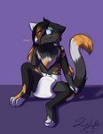 anthro blush clean_diaper clothed clothing diaper female fur hair omorashi simple_background solo wearing_diaper frmcast351 lucy_(frmcast351) domestic_cat felid feline felis mammal absurd_res digital_media_(artwork) hi_res