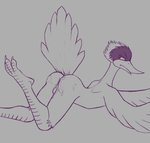 angry annoyed anthro balls beak bird_legs bodily_fluids butt claws cum cum_in_ass cum_inside feathered_wings feathers genital_fluids genitals lying male nude on_front plantigrade solo tail tail_feathers winged_arms wings analpaladin no_evil ichabod_(no_evil) antigone_(genus) avian bird crane_(bird) gruiform sandhill_crane line_art monochrome