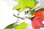 ambiguous_gender bodily_fluids clenched_teeth feral flower flower_in_mouth fur green_body green_eyes green_fur holding_flower holding_object mouth_hold plant simple_background solo tears teeth white_background white_body white_fur sushi1515 nintendo pokemon generation_4_pokemon legendary_pokemon pokemon_(species) shaymin sky_forme_shaymin