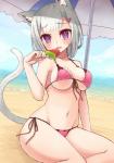 beach bikini blush breasts clothed clothing cloud detailed_background female food fur grey_body grey_fur grey_hair hair looking_at_viewer navel open_mouth outside popsicle purple_eyes sand seaside sitting sky solo swimwear two-piece_swimsuit umbrella water miyamae_porin animal_humanoid cat_humanoid felid felid_humanoid feline feline_humanoid humanoid mammal mammal_humanoid 2018 absurd_res hi_res