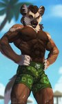 abs anthro balls biped black_claws brown_balls brown_body brown_eyebrows brown_fur brown_hair brown_nipples brown_nose bulge claws clothed clothing detailed_bulge dipstick_tail eyebrows flexing fur genital_outline genitals hair hands_on_hips male markings muscular muscular_anthro muscular_male navel nipples orange_eyes orange_sclera palm_tree pecs penis_outline plant smile smirk solo standing swimming_trunks swimwear tail tail_markings teeth topless topless_anthro topless_male tree veiny_arms veiny_body veiny_legs white_body white_fur lynncore enitan african_wild_dog canid canine mammal 2022