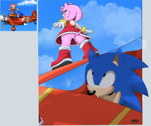 accessory aircraft airplane anthro blue_body blue_fur boots bracelet butt clothing cloud dress duo eyes_closed female footwear fur gloves hair_accessory hairband handwear jewelry male male/female panties pink_body pink_fur shoes sky staring_up tail tan_body tan_skin underwear vehicle treno_art sega sonic_advance sonic_the_hedgehog_(series) amy_rose sonic_the_hedgehog eulipotyphlan hedgehog mammal hi_res