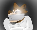 2024 anthro digital_drawing_(artwork) digital_media_(artwork) gag hi_res male mammal narrowed_eyes omeggaomelette procyonid raccoon restraints solo squint straitjacket tape tape_gag