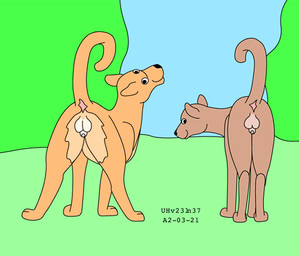 animal_genitalia anus balls brown_body brown_fur butt day duo feral fur genitals grass looking_at_viewer looking_back looking_back_at_viewer male nude_male outside penis perineum pink_anus plant presenting presenting_hindquarters raised_tail sheath smile standing tail tan_body tan_fur toony urbanhermit domestic_cat felid feline felis mammal 2002 dated