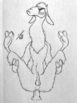 anal angry blush ears_down feral flustered hooves looking_away lying male on_back pivoted_ears solo spreading hogg01 disney the_emperor's_new_groove kuzco camelid llama mammal 3:4 absurd_res hi_res monochrome