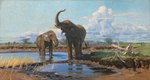 ambiguous_gender day duo feral grass grey_body grey_skin open_mouth outside plant quadruped tail trunk tusks water friedrich_wilhelm_kuhnert public_domain african_elephant elephant elephantid mammal proboscidean absurd_res ancient_art hi_res oil_painting_(artwork) signature traditional_media_(artwork)