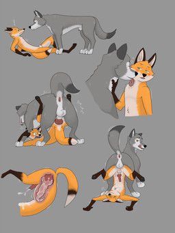 abdominal_bulge anal anal_knotting anal_orgasm anal_penetration animal_genitalia animal_penis anthro anthro_on_feral anthro_penetrated anus ass_to_ass ball_size_difference balls bestiality bodily_fluids canine_genitalia canine_penis cum cum_inside cum_on_self dominant dominant_feral duo ejaculation erection feral feral_penetrating feral_penetrating_anthro from_front_position fully_sheathed genital_fluids genitals hands-free huge_penetration internal knot knot_hanging knotted_penis knotting larger_feral licking licking_lips lying male male/male male_penetrated male_penetrating male_penetrating_male missionary_position neck_lick nervous on_back orgasm penetration penile penile_penetration penis penis_tip reverse_doggystyle sex sheath shocked size_difference smaller_anthro stretched_anus tongue tongue_out omniferret canid canine canis fox mammal wolf absurd_res hi_res