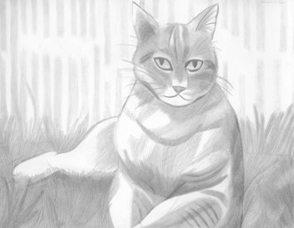 :3 ambiguous_gender feral fur grass grey_body grey_fur markings outside plant simple_background sitting solo striped_body striped_fur striped_markings stripes whiskers white_body white_fur lunarpanda8686 domestic_cat felid feline felis mammal graphite_(artwork) hatching_(art) hi_res monochrome shaded traditional_media_(artwork)