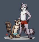 anthro blush boxer_briefs briefs bulge clothed clothing crotch_sniffing duo erection erection_under_clothing eyewear glasses kneeling male male/male navel nipples sniffing sniffing_clothes standing underwear underwear_sniffing fudatsu jono okietheraccoon mammal procyonid raccoon hi_res