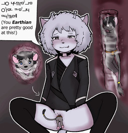 accessory antennae_(anatomy) anthro belt belt_pouch black_clothing black_hair black_legwear black_thigh_highs blep blue_body blue_skin blush bodily_fluids cervix clitoris clothing directional_arrow duo eyeshadow female fur furgonomics genital_fluids genitals grey_body grey_fur hair internal internal_vaginal jewelry legwear macro makeup male micro nipples ring tail tail_accessory tail_jewelry tail_ring text thigh_highs tongue tongue_out unbirthing vaginal vaginal_fluids vore vulva white_hair teruni-inamor pocket_jabari teruni-nemira-inamor alien mammal mouse murid murine rodent virelli animated short_playtime