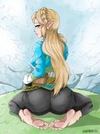 5_toes barefoot blonde_hair butt clothed clothing feet female hair humanoid_feet humanoid_pointy_ears long_hair looking_back not_furry plantigrade pointy_ears soles solo toes szeroart breath_of_the_wild nintendo the_legend_of_zelda princess_zelda humanoid hylian 3:4 hi_res