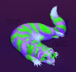 alternate_color ambiguous_gender barely_visible_pawpads blacklight blep calico_pattern claws cloudweaver_(artist) digital_media_(artwork) digital_painting_(artwork) dipstick_tail domestic_ferret english_text european_polecat feet female_(lore) feral fluffy fluffy_tail fluorescence full-length_portrait fur genetically_modified glowing glowing_body glowing_fur green_fluorescent_protein hi_res horizontal_pupils hybrid looking_up lying mammal markings mustelid musteline on_side pawpads paws portrait pupils signature simple_background solo sparklefur sunny_silver symbol tail tail_markings text third-party_edit tongue tongue_out true_musteline weasel whiskers white_whiskers