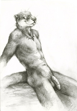 anthro balls flaccid foreskin fur genitals humanoid_genitalia humanoid_penis jewelry male necklace nude penis solo tongue tongue_out unretracted_foreskin kenket mammal mustelid otter 2015 graphite_(artwork) traditional_media_(artwork)