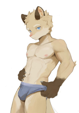 abs anthro athletic athletic_anthro athletic_male biceps biped black_pillow blue_boxers blue_clothing blue_eyes blue_underwear boxers_(clothing) boxers_only brown_body brown_fur bulge clothed clothing fur hand_on_head kemono looking_at_viewer male pecs pillow solo topless underwear underwear_only white_body white_fur canilu_u canid canine fox mammal 2024 hi_res