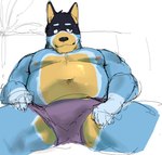 anthro black_body black_fur blue_body blue_fur bulge clothing fur furniture male nipples overweight simple_background sitting sofa solo spread_legs spreading underwear yellow_body yellow_fur artxtcy bluey_(series) bandit_heeler australian_cattle_dog canid canine canis cattledog domestic_dog herding_dog mammal pastoral_dog sketch