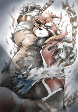 anthro balls bandage barely_visible_balls barely_visible_genitalia belly black_body black_fur blue_eyes blush bottomwear bound chain chained clothing fur genitals humanoid_hands kemono loincloth male moobs overweight overweight_male solo transformation roostax_wilddog ailurid human mammal red_panda 2017