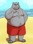 anthro beach belly bottomwear clothing footwear humanoid_hands kemono male moobs navel nipples outside overweight overweight_anthro overweight_male sandals seaside shoes shorts solo water bullbluedog hippopotamid mammal 2020 hi_res